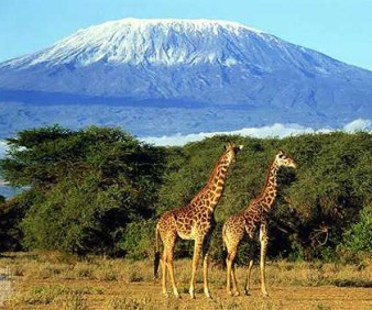 Safari expedition to Zambia with a small group